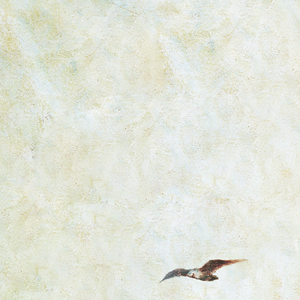 明日花绮罗被c到翻白眼
