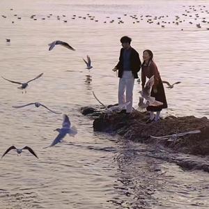 明日花绮罗被c到翻白眼
