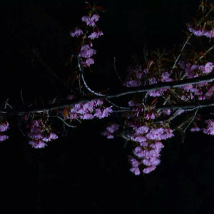 明日花绮罗被c到翻白眼
